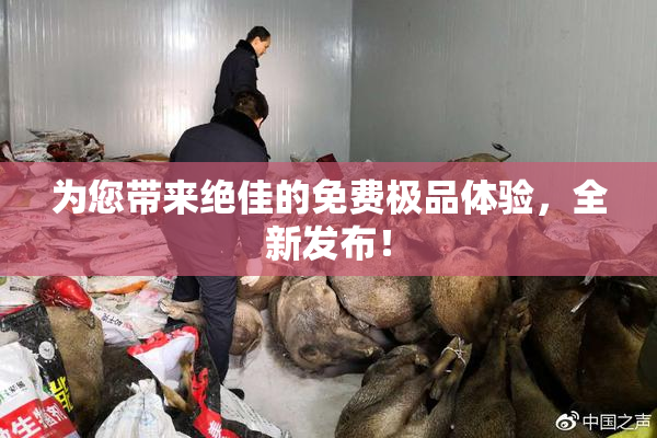 为您带来绝佳的免费极品体验，全新发布！