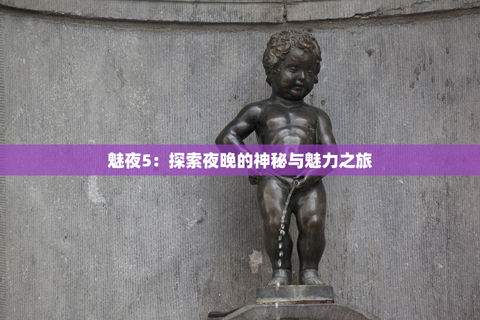 魅夜5：探索夜晚的神秘与魅力之旅