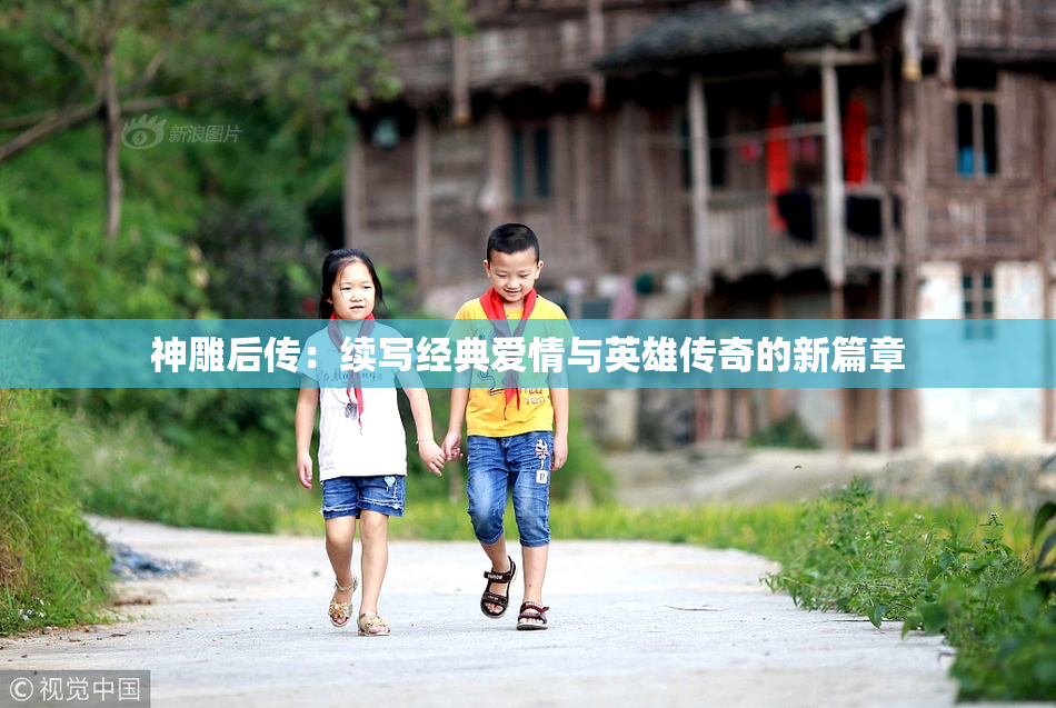 神雕后传：续写经典爱情与英雄传奇的新篇章