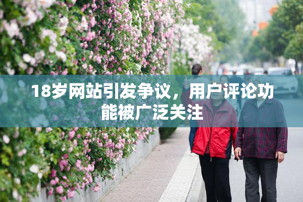 18岁网站引发争议，用户评论功能被广泛关注