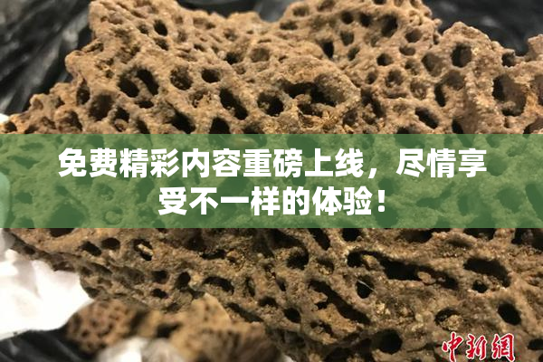 免费精彩内容重磅上线，尽情享受不一样的体验！