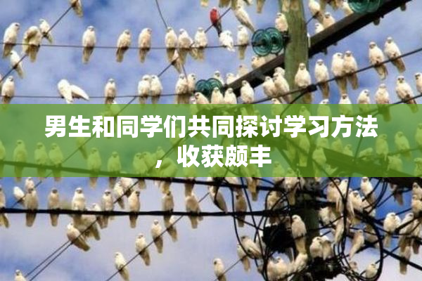 男生和同学们共同探讨学习方法，收获颇丰