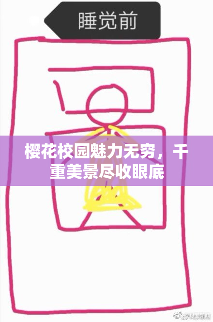 樱花校园魅力无穷，千重美景尽收眼底