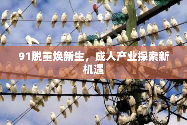 91脱重焕新生，成人产业探索新机遇