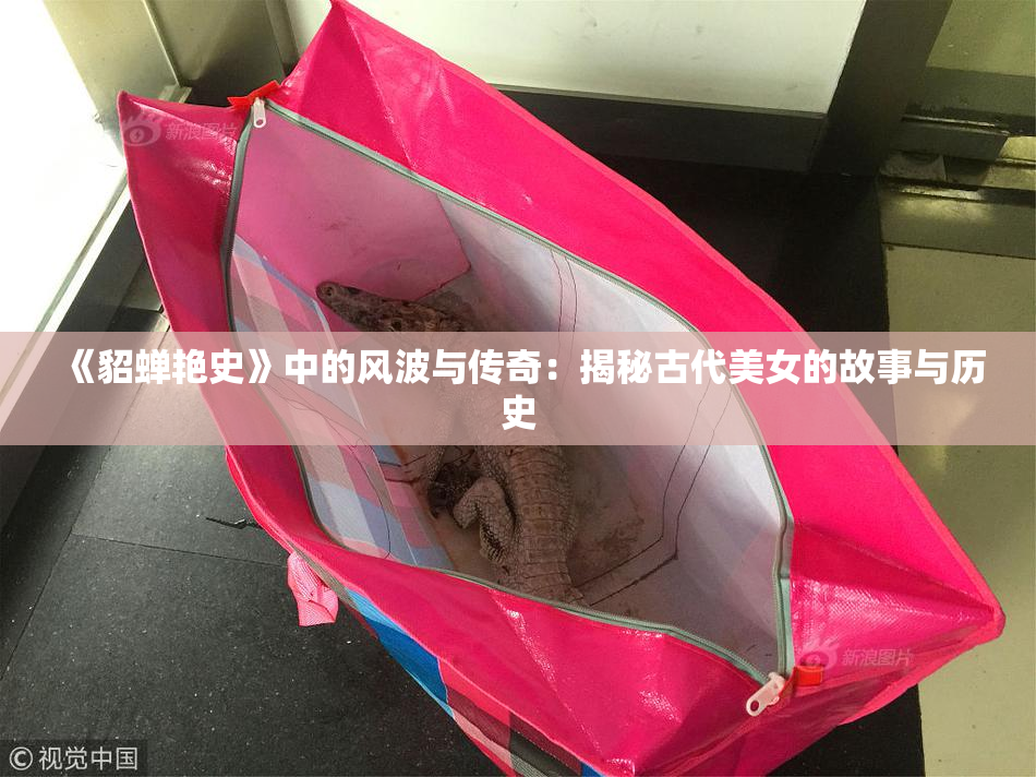 《貂蝉艳史》中的风波与传奇：揭秘古代美女的故事与历史