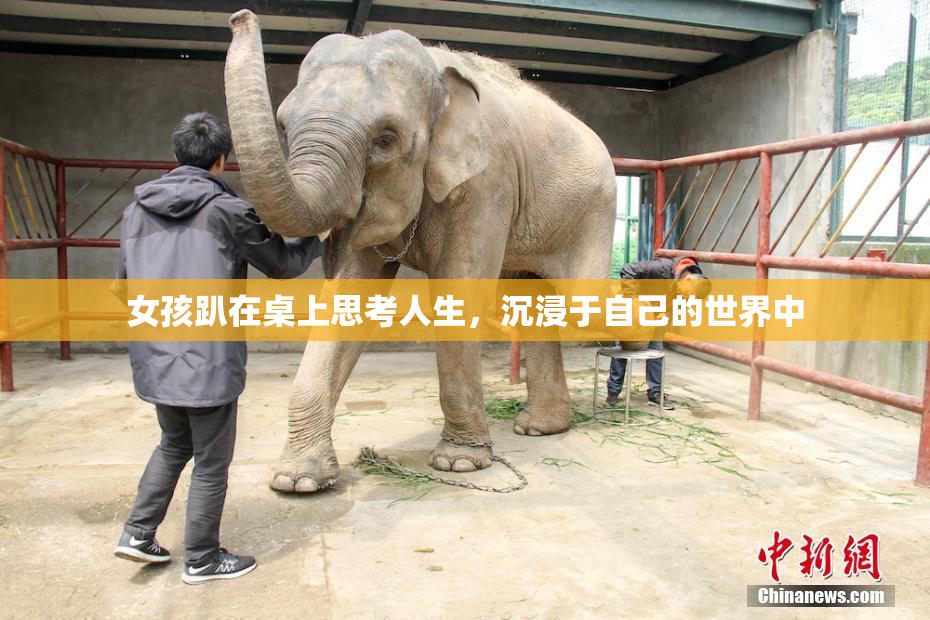 女孩趴在桌上思考人生，沉浸于自己的世界中