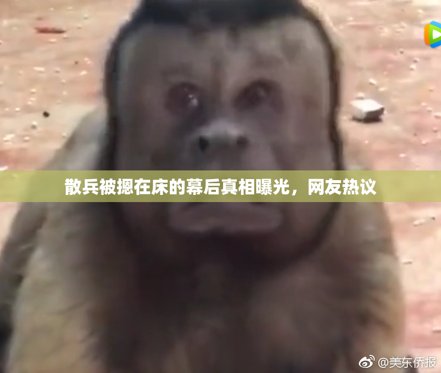 散兵被摁在床的幕后真相曝光，网友热议