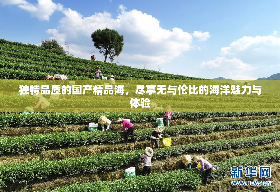 独特品质的国产精品海，尽享无与伦比的海洋魅力与体验