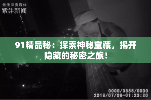 91精品秘：探索神秘宝藏，揭开隐藏的秘密之旅！