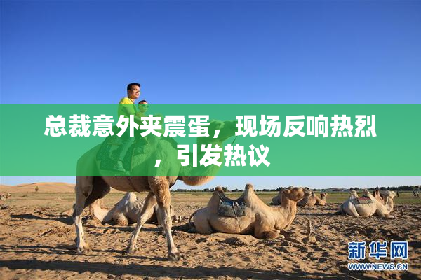 总裁意外夹震蛋，现场反响热烈，引发热议
