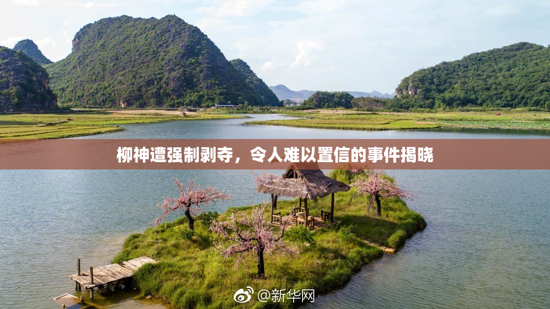 柳神遭强制剥夺，令人难以置信的事件揭晓