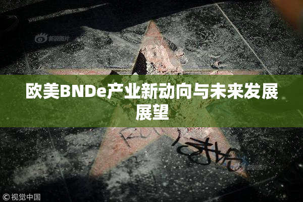 欧美BNDe产业新动向与未来发展展望