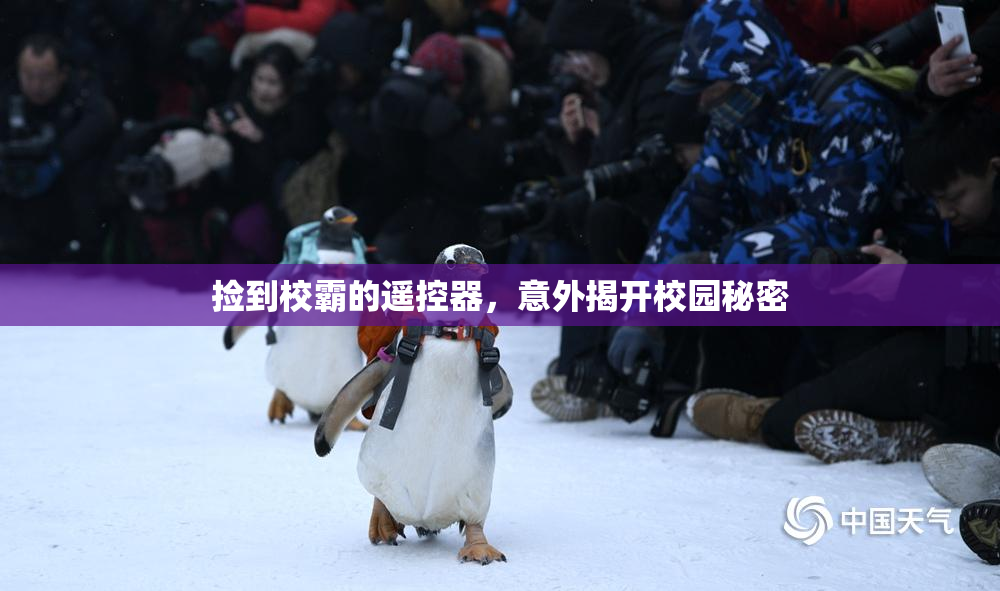 捡到校霸的遥控器，意外揭开校园秘密