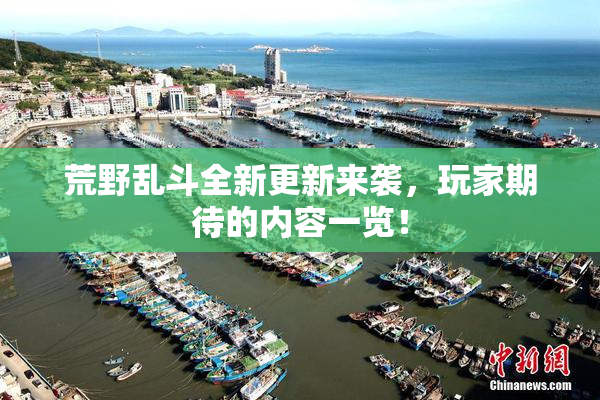 荒野乱斗全新更新来袭，玩家期待的内容一览！