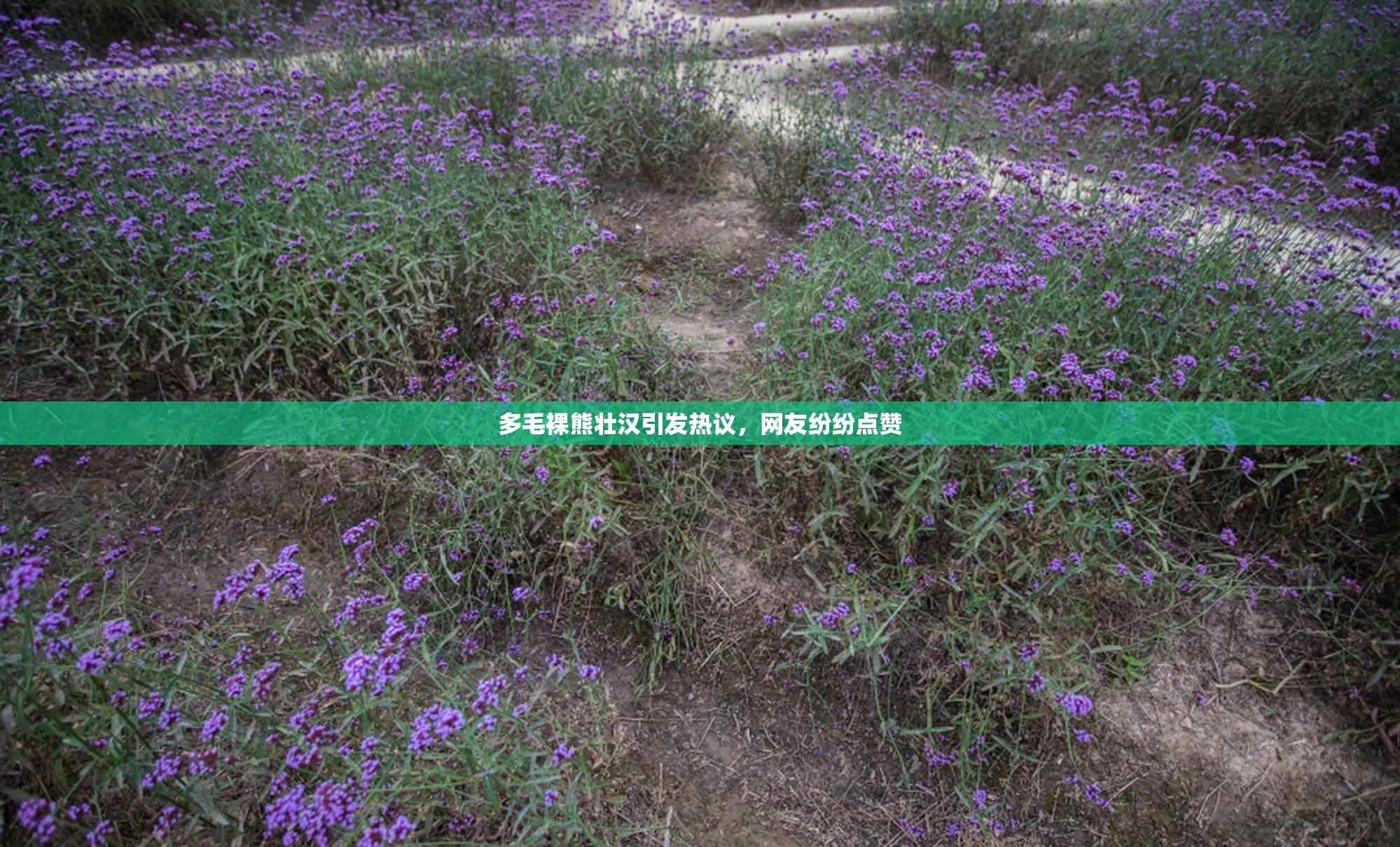 多毛裸熊壮汉引发热议，网友纷纷点赞