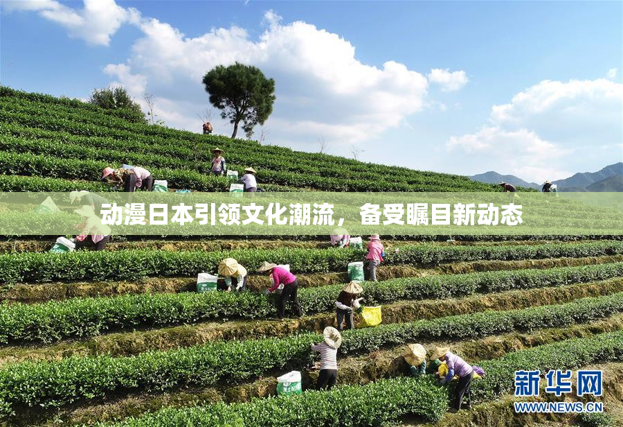 动漫日本引领文化潮流，备受瞩目新动态