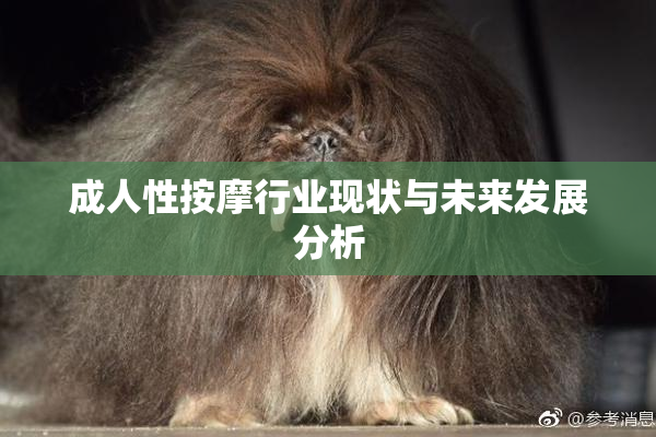 成人性按摩行业现状与未来发展分析