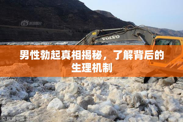 男性勃起真相揭秘，了解背后的生理机制