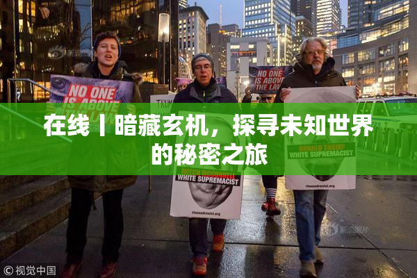 在线丨暗藏玄机，探寻未知世界的秘密之旅