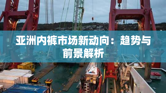 亚洲内裤市场新动向：趋势与前景解析