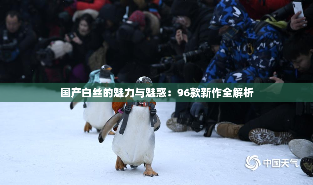 国产白丝的魅力与魅惑：96款新作全解析