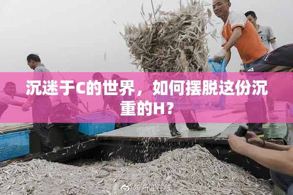 沉迷于C的世界，如何摆脱这份沉重的H？