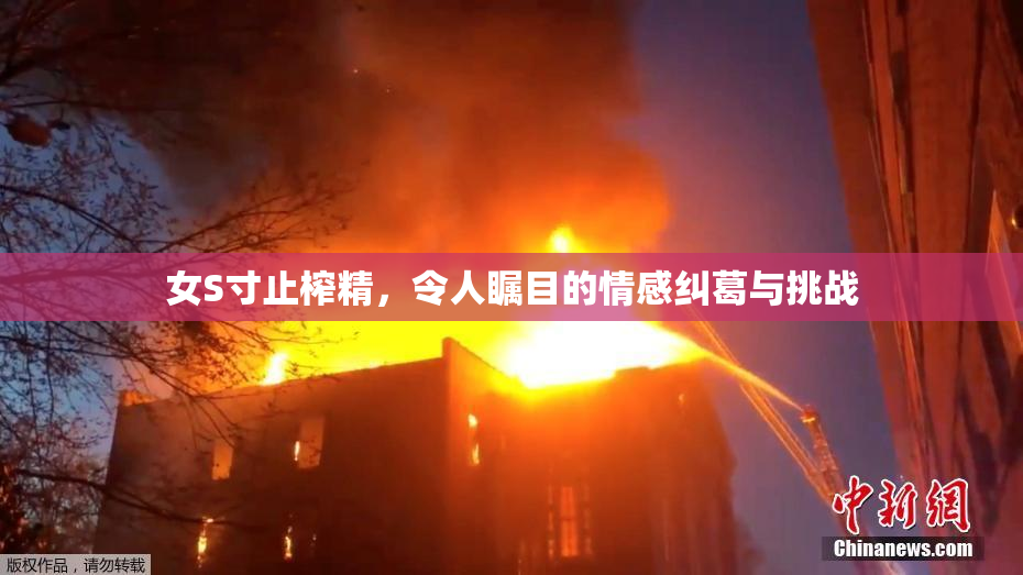 女S寸止榨精，令人瞩目的情感纠葛与挑战