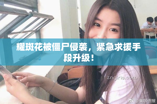 耀斑花被僵尸侵袭，紧急求援手段升级！