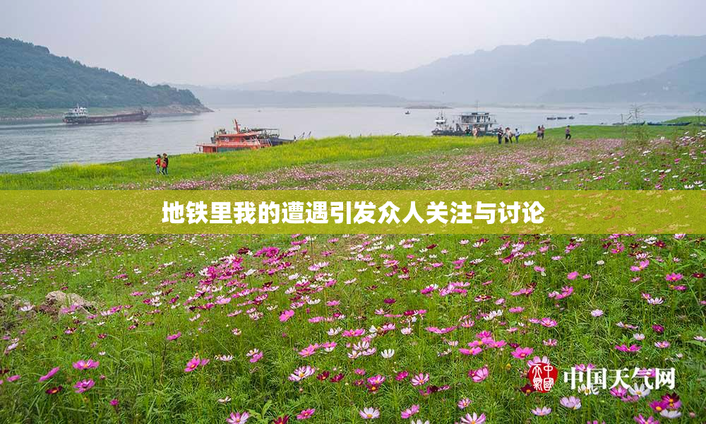 地铁里我的遭遇引发众人关注与讨论