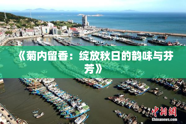《菊内留香：绽放秋日的韵味与芬芳》