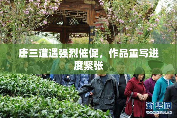 唐三遭遇强烈催促，作品重写进度紧张