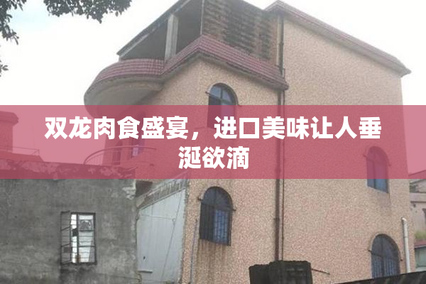 双龙肉食盛宴，进口美味让人垂涎欲滴