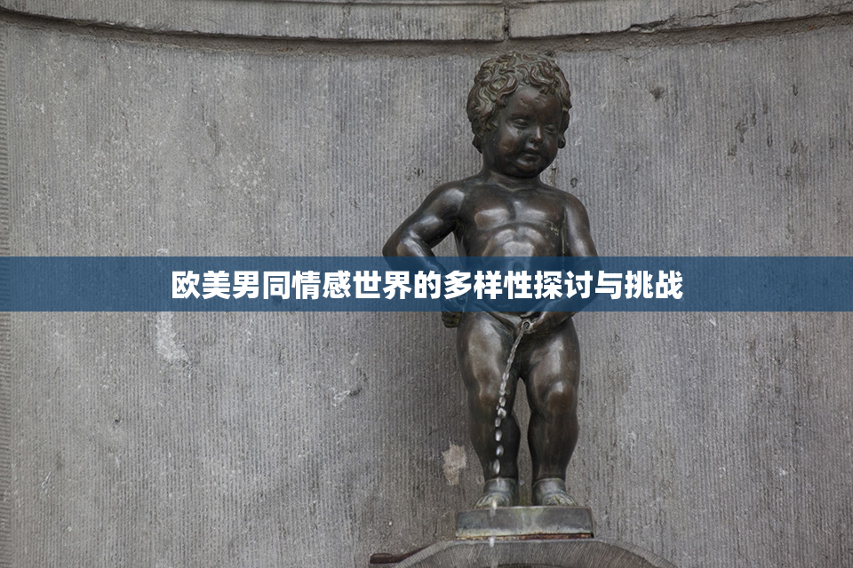 欧美男同情感世界的多样性探讨与挑战