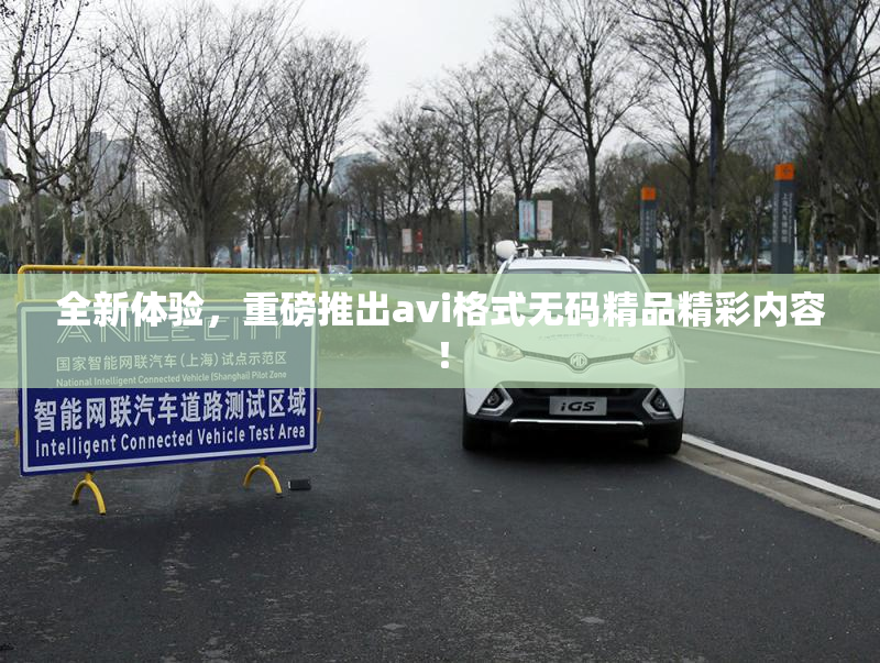 全新体验，重磅推出avi格式无码精品精彩内容！