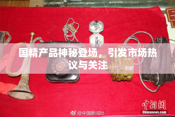 国精产品神秘登场，引发市场热议与关注