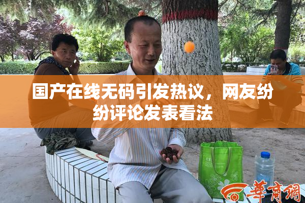 国产在线无码引发热议，网友纷纷评论发表看法