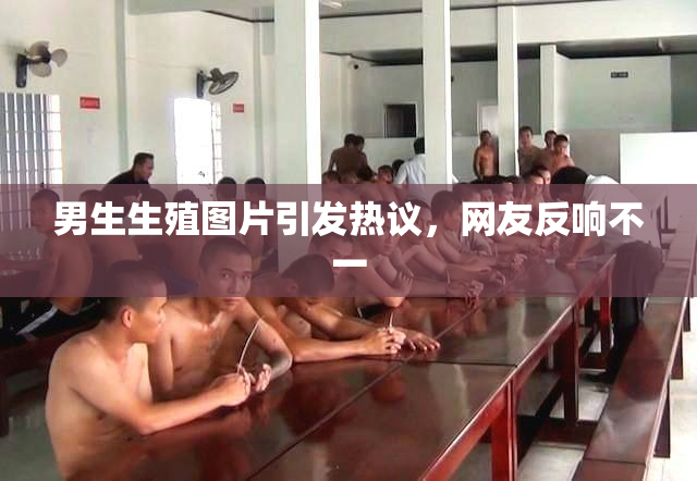 男生生殖图片引发热议，网友反响不一