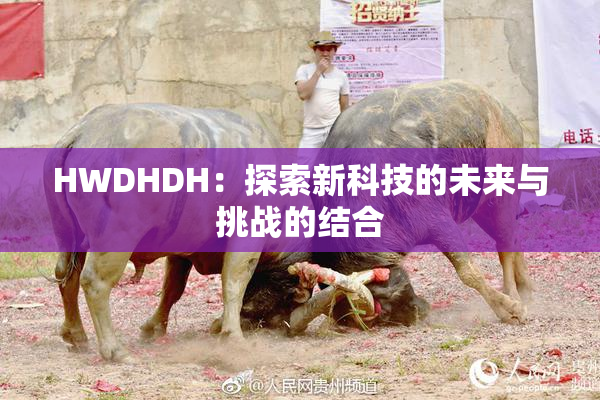 HWDHDH：探索新科技的未来与挑战的结合