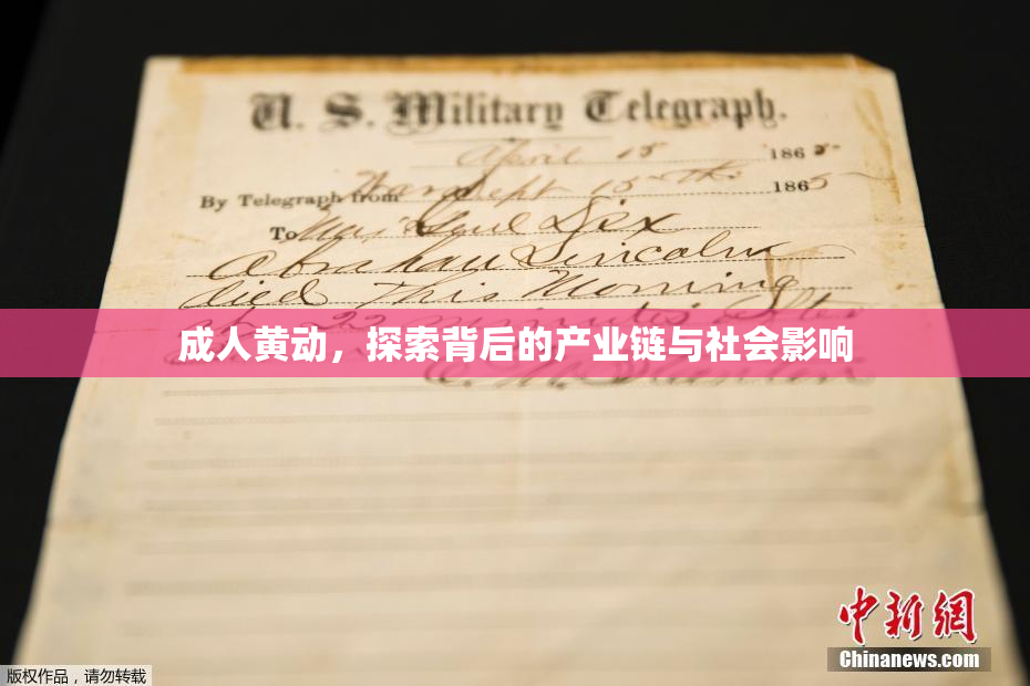 成人黄动，探索背后的产业链与社会影响
