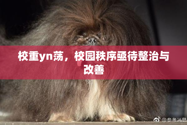校重yn荡，校园秩序亟待整治与改善