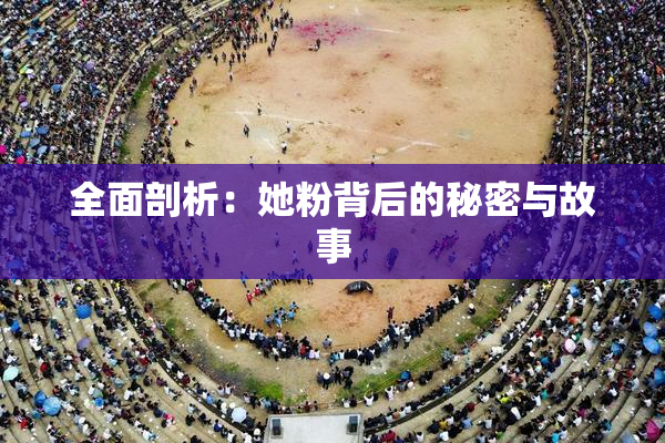 全面剖析：她粉背后的秘密与故事