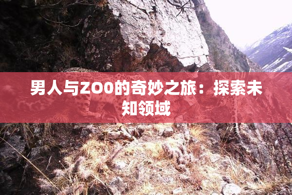 男人与ZO0的奇妙之旅：探索未知领域
