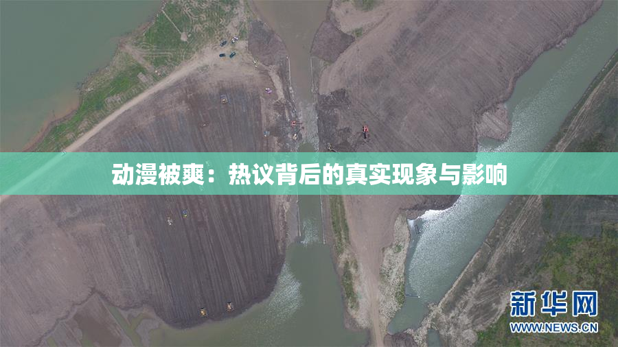 动漫被爽：热议背后的真实现象与影响