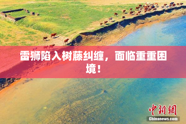 雷狮陷入树藤纠缠，面临重重困境！