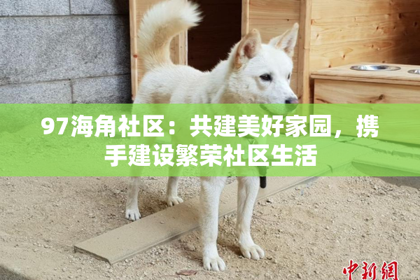 97海角社区：共建美好家园，携手建设繁荣社区生活