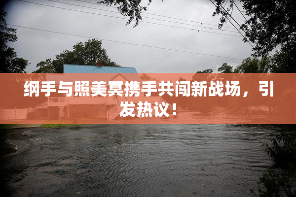 纲手与照美冥携手共闯新战场，引发热议！