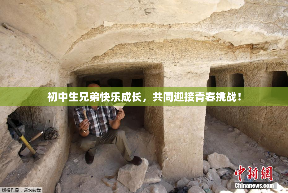 初中生兄弟快乐成长，共同迎接青春挑战！