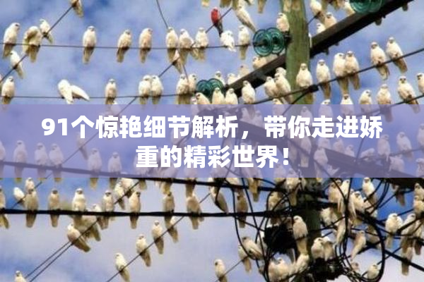 91个惊艳细节解析，带你走进娇重的精彩世界！