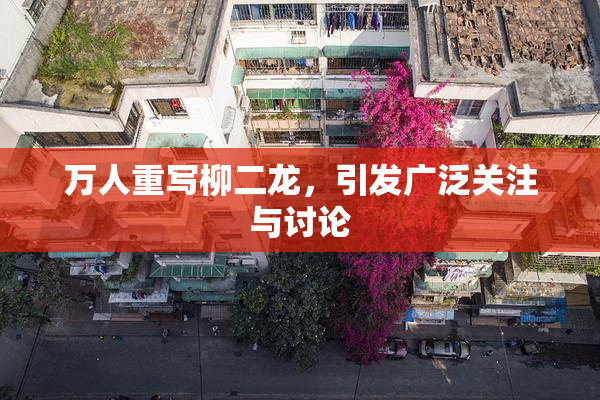万人重写柳二龙，引发广泛关注与讨论