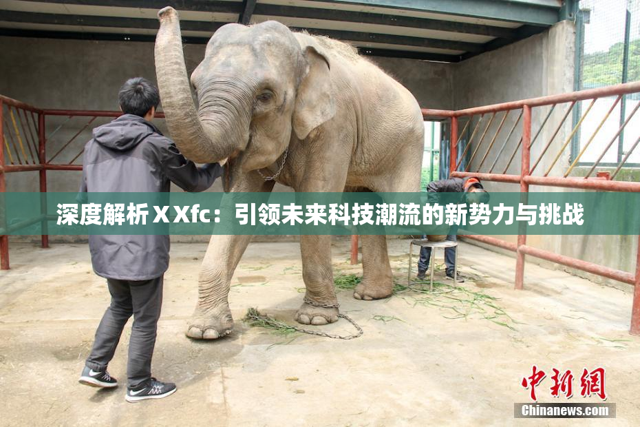 深度解析ⅩXfc：引领未来科技潮流的新势力与挑战